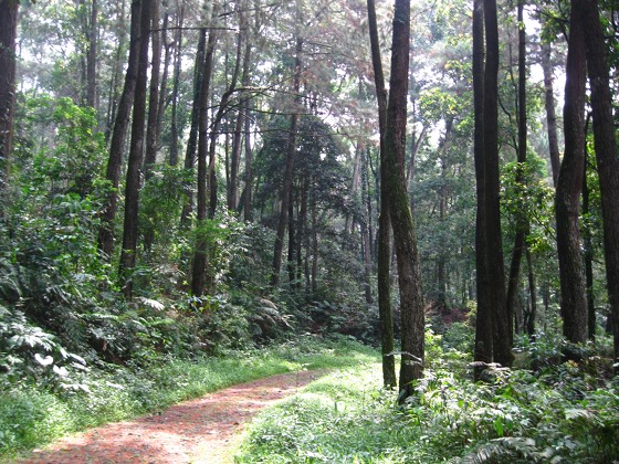 https://www.dpa-adventure.com