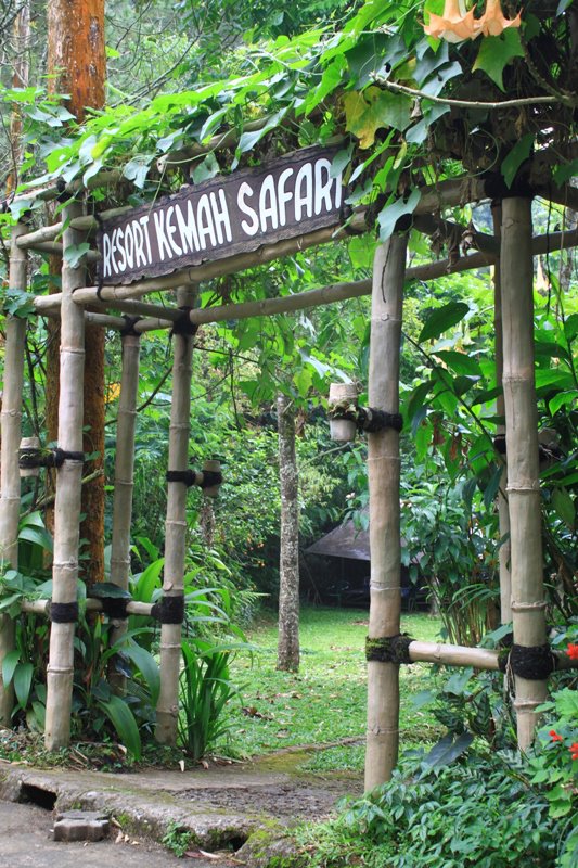 https://www.dpa-adventure.com/wp-content/uploads/2015/02/Gathering-Bogor-Taman-Safari.jpg