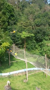 https://www.dpa-adventure.com/wp-content/uploads/2015/02/Outbound-Puncak-Bogor-Taman-Safari.jpg