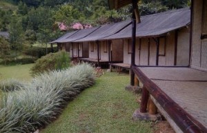 https://www.dpa-adventure.com/wp-content/uploads/2015/03/Gathering-Puncak-Bogor1.jpg