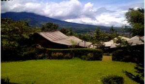 https://www.dpa-adventure.com/wp-content/uploads/2015/03/Outbound-Puncak-The-Jungle.jpg