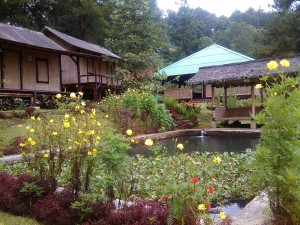 https://www.dpa-adventure.com/wp-content/uploads/2015/03/Outbound-Training-Puncak-Bogor.jpg