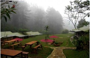 https://www.dpa-adventure.com/wp-content/uploads/2015/03/Outbound-the-Jungle.jpg